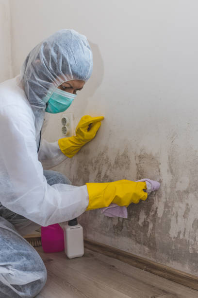 Best Dehumidification Services  in Houston, AK