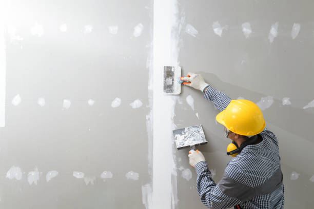Best Residential Mold Inspection & Testing  in Houston, AK