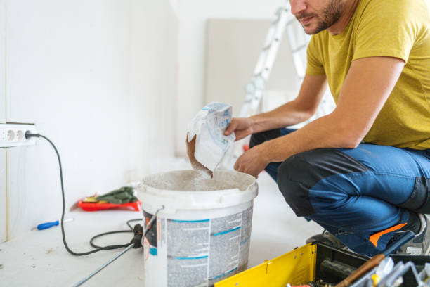 Best Basement Mold Removal  in Houston, AK