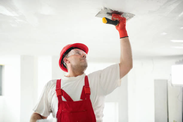Best Real Estate Mold Inspection  in Houston, AK