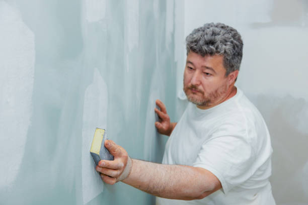 Mold Removal for HVAC Installations in Houston, AK