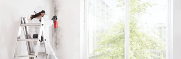 Best Commercial Mold Inspection  in Houston, AK