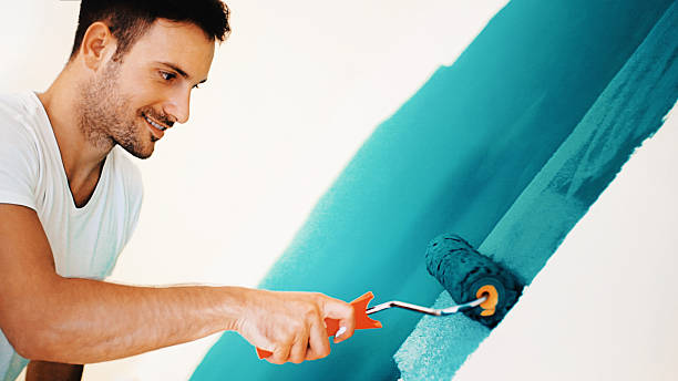 Best Emergency Mold Remediation  in Houston, AK